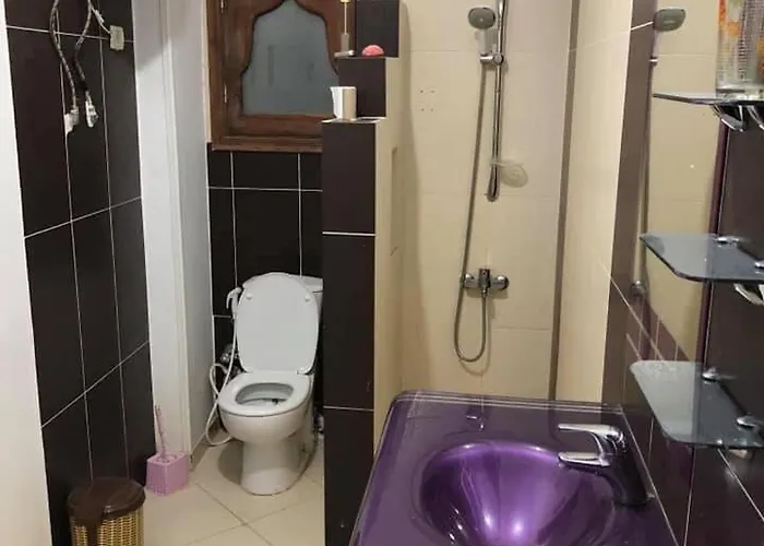 The Comfortable Palace 4*